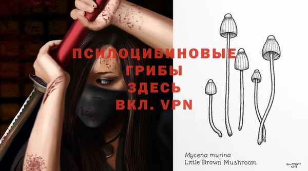 а пвп мука Магас