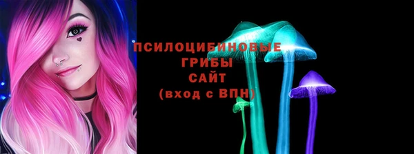дмт Магадан