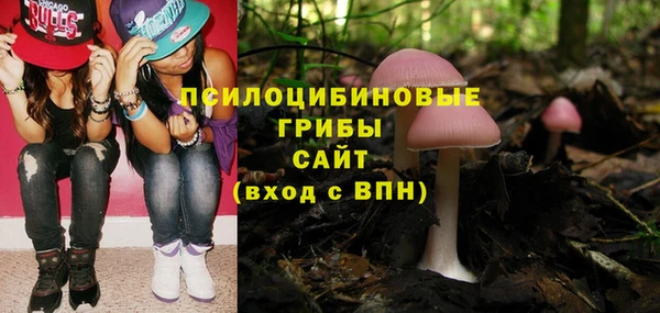 а пвп мука Магас