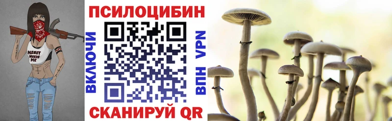 Купить закладки Мытищи Галлюциногенные грибы мухоморы